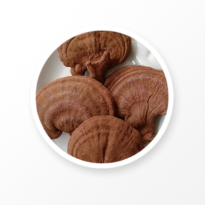 Ganoderma Lucidum Orgánico