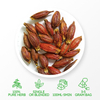 Té de desintoxicación de té Fructus Gardeniae