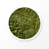 Polvo de matcha orgánico 
