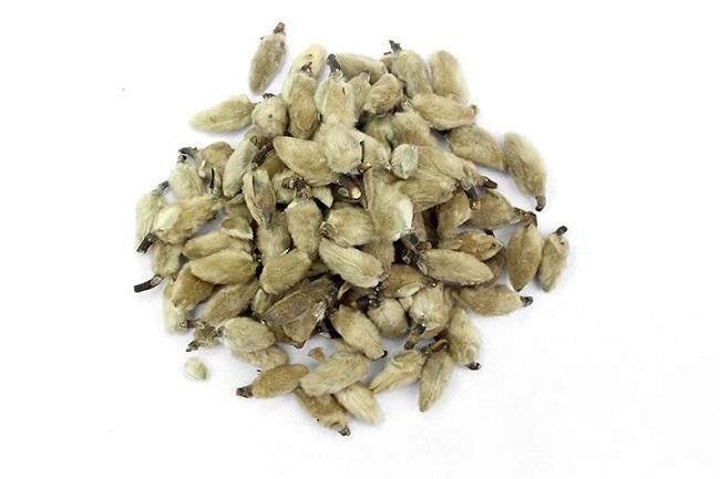 Té Flos Magnoliae