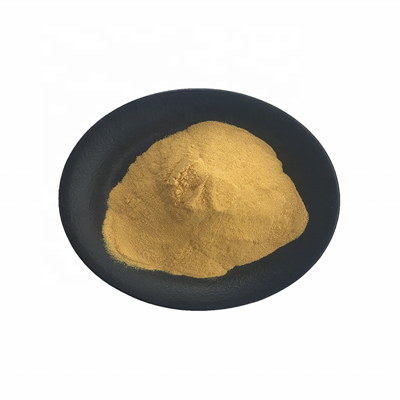 Extracto de Cordyceps 