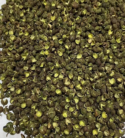 Ceniza espinosa china Espinosa roja, Ceniza espinosa verde