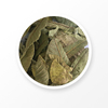 hoja de guayaba 