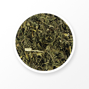artemisia carvifolia