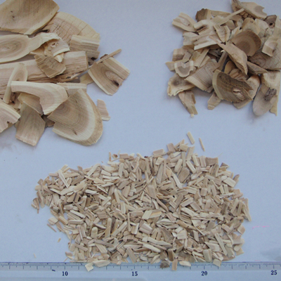 Raíz orgánica de Eleutherococcus Senticosus