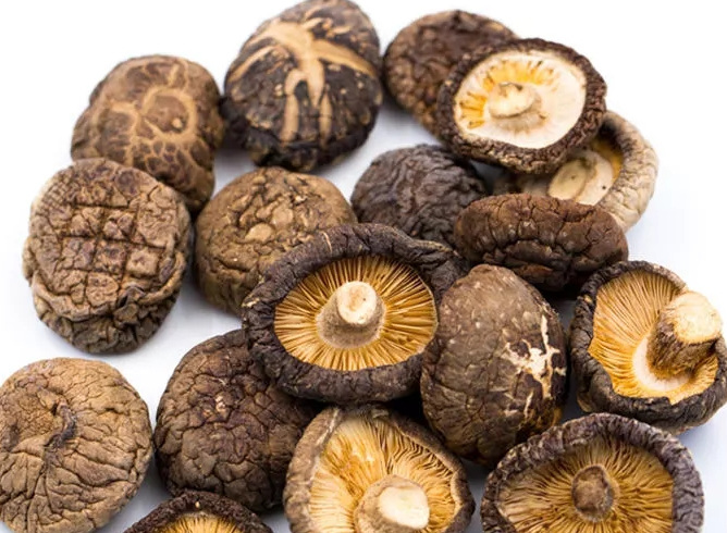 Extracto de Hongo Shiitake Orgánico 